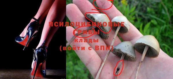 хмурый Алзамай