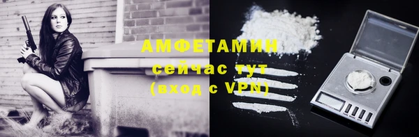 хмурый Алзамай