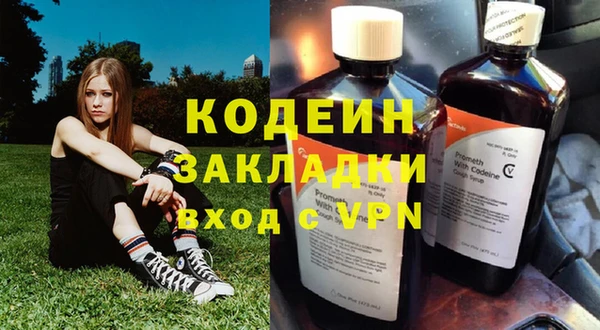 хмурый Алзамай