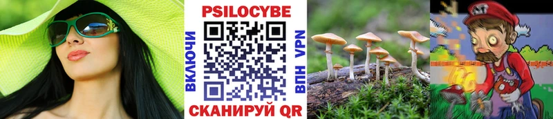 наркота  Нижние Серги  МЕГА ссылки  Галлюциногенные грибы Psilocybine cubensis 